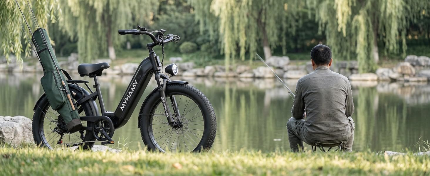 Sepado Electric Bikes webpage