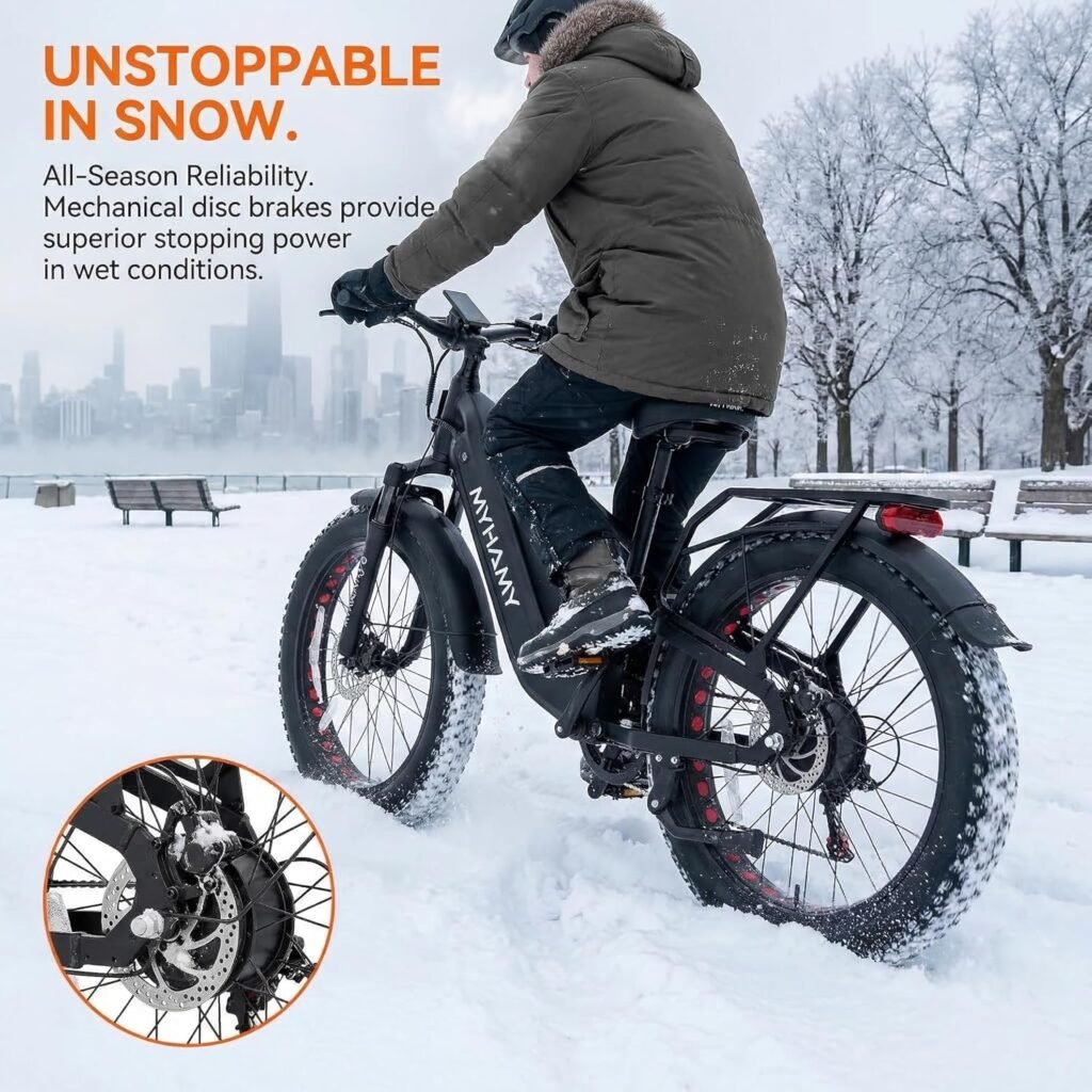 Sepado Ebike for all roads